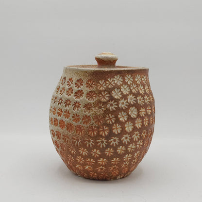 Lidded Jar #27 - Wood Fired